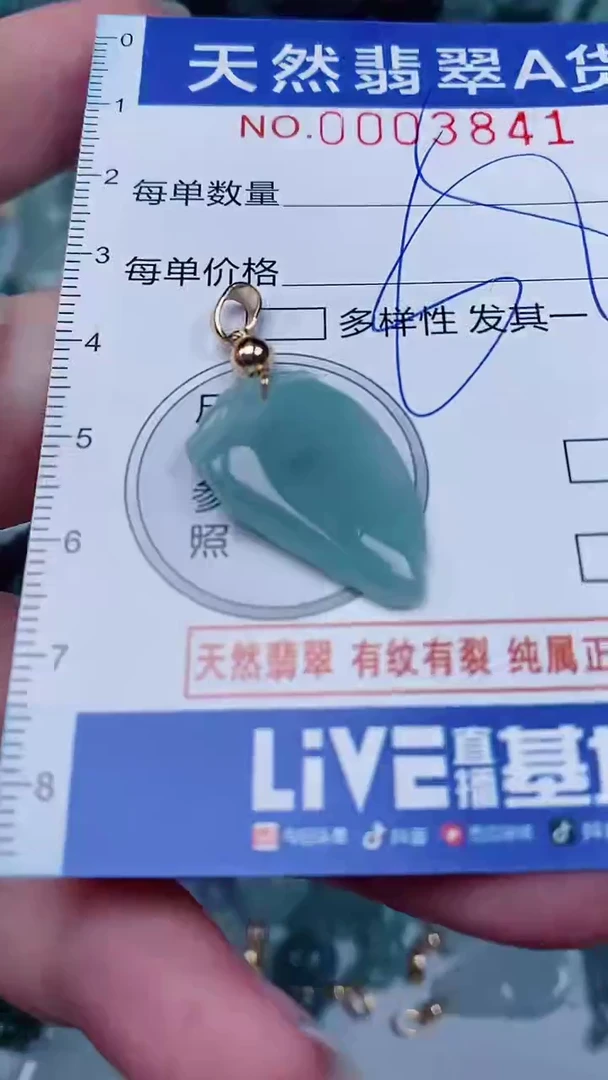 翡翠未镶嵌颈饰00003841