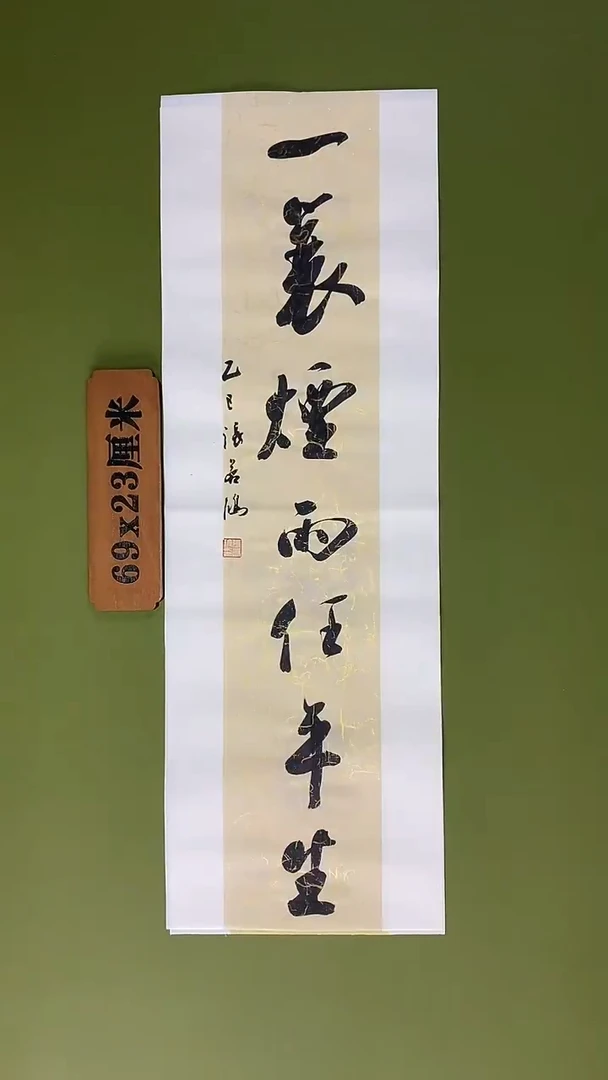 书法书法 张若鸿 尺寸69cm*23cm