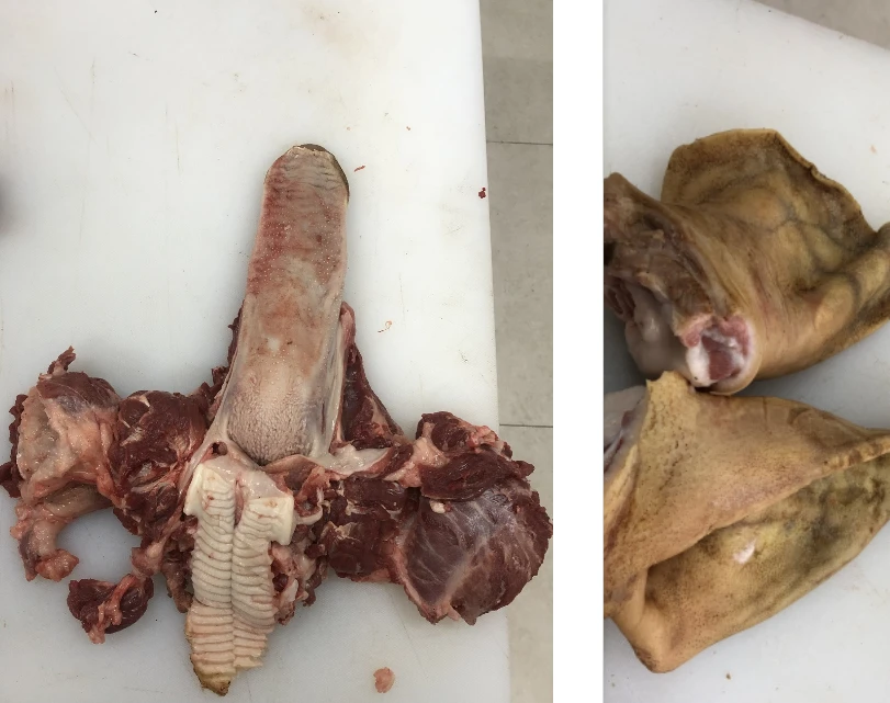 【猪耳朵加猪舌头4斤】顺丰包邮 山里老人养的土猪肉