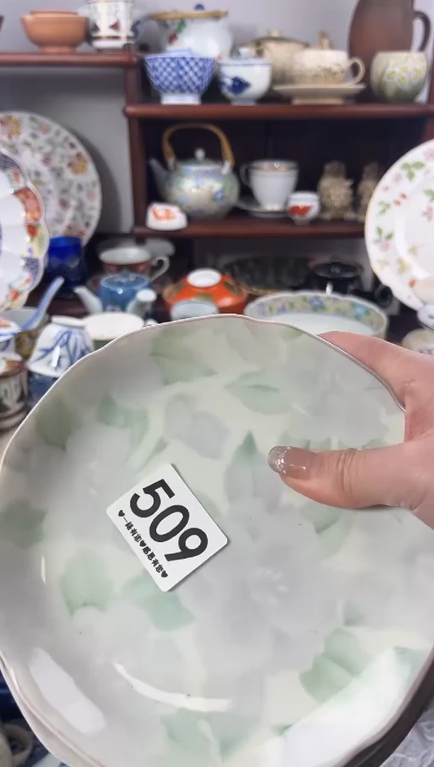 【闪购商品】瓷片509................