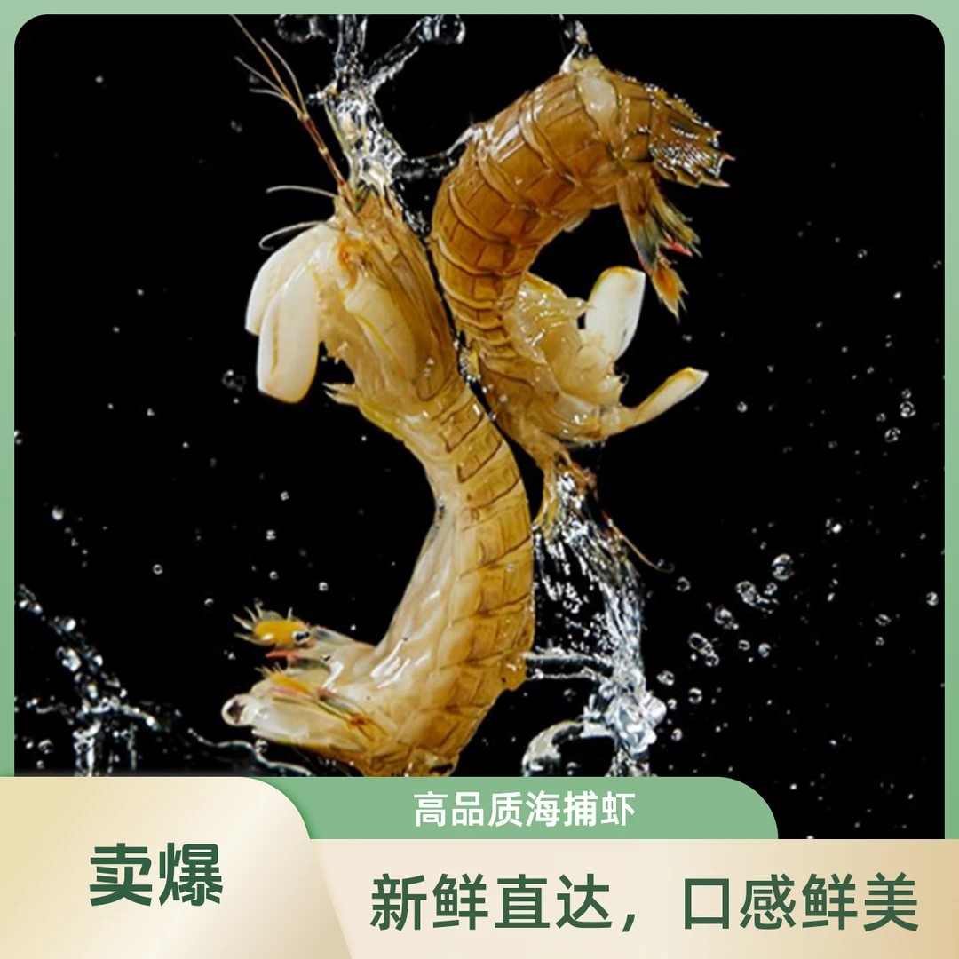【鲜活皮皮虾】中号（每斤30-35只左右） 虾爬子  皮皮虾   爬爬虾      【保鲜不保活】