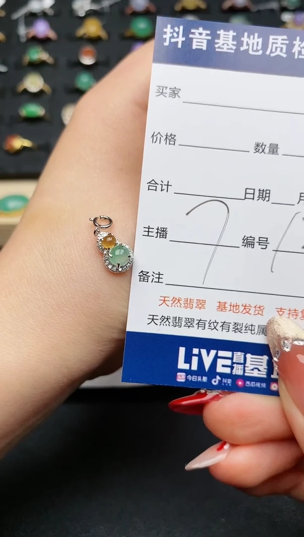 【闪购商品】翡翠颈饰银S925镶嵌............