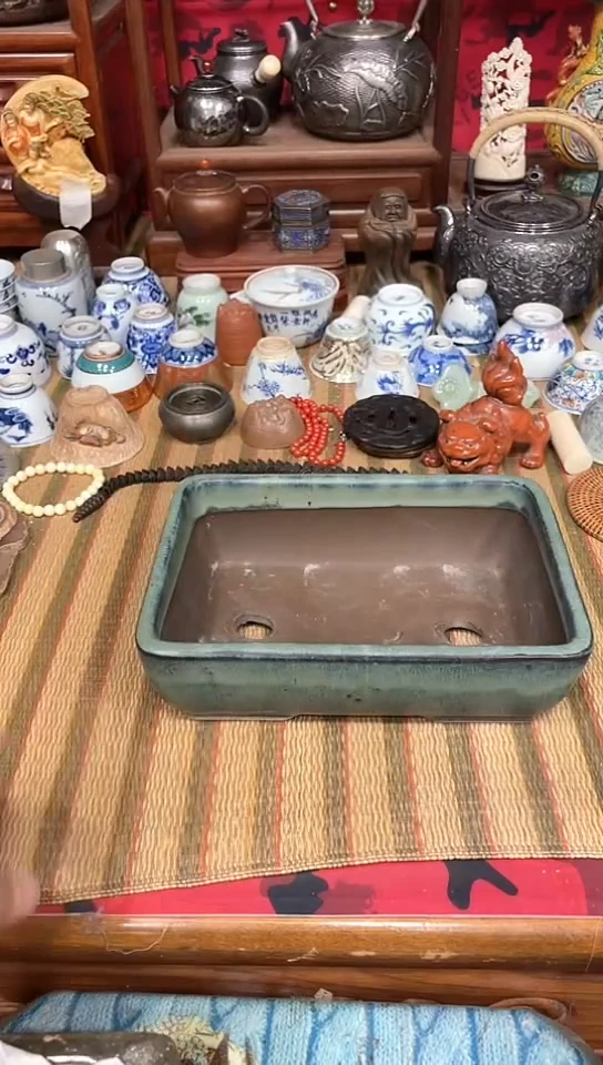 发发发发发发发发发