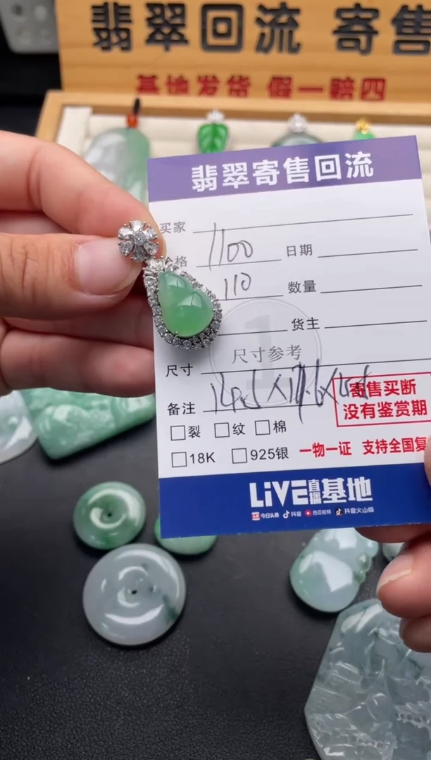 颈饰银S925镶嵌翡翠10147078