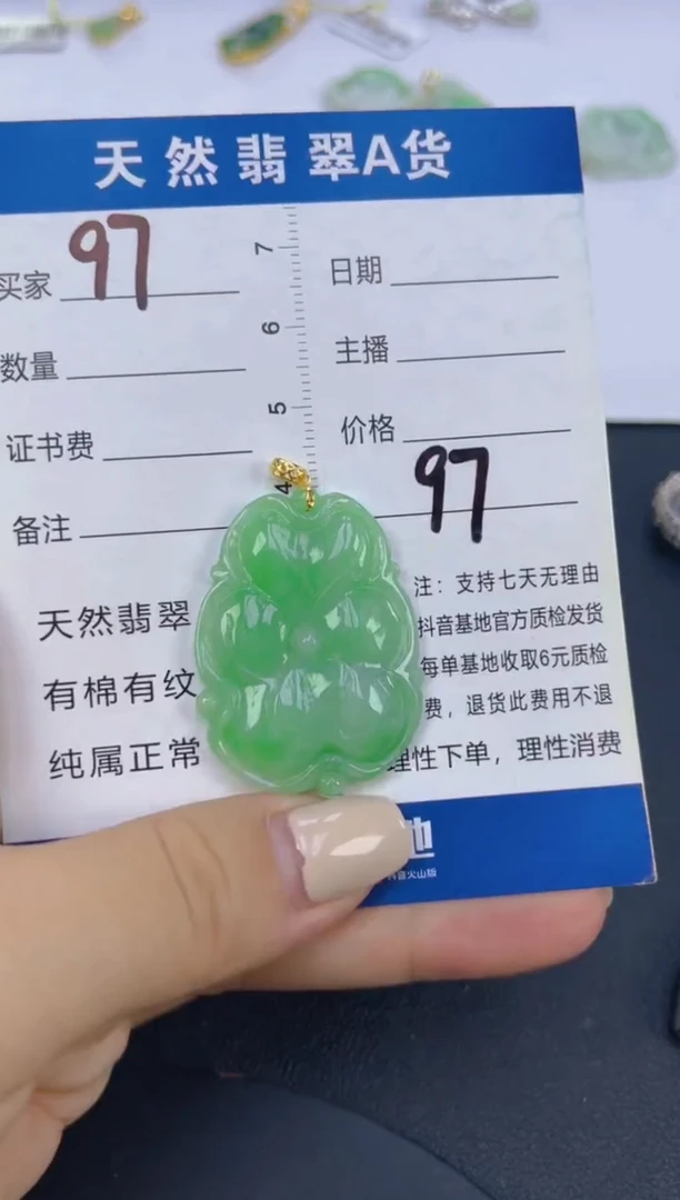 翡翠18K金镶嵌颈饰天然A货翡翠