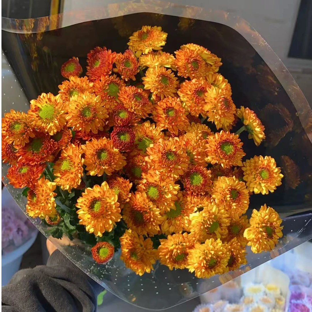 马卡龙小菊  小雏菊全店任意4单一个运费