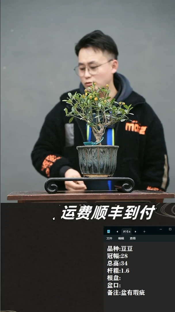 【闪购商品】3   豆豆