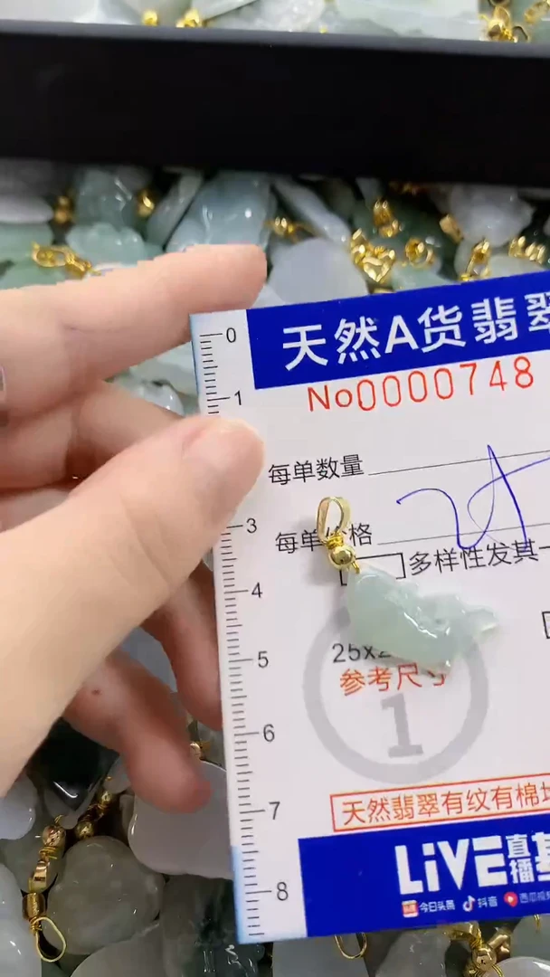 颈饰未镶嵌翡翠天然A货翡翠