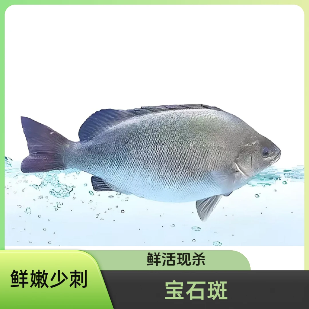 【鲜活现杀  小时到家】宝石斑 650g-800g/条