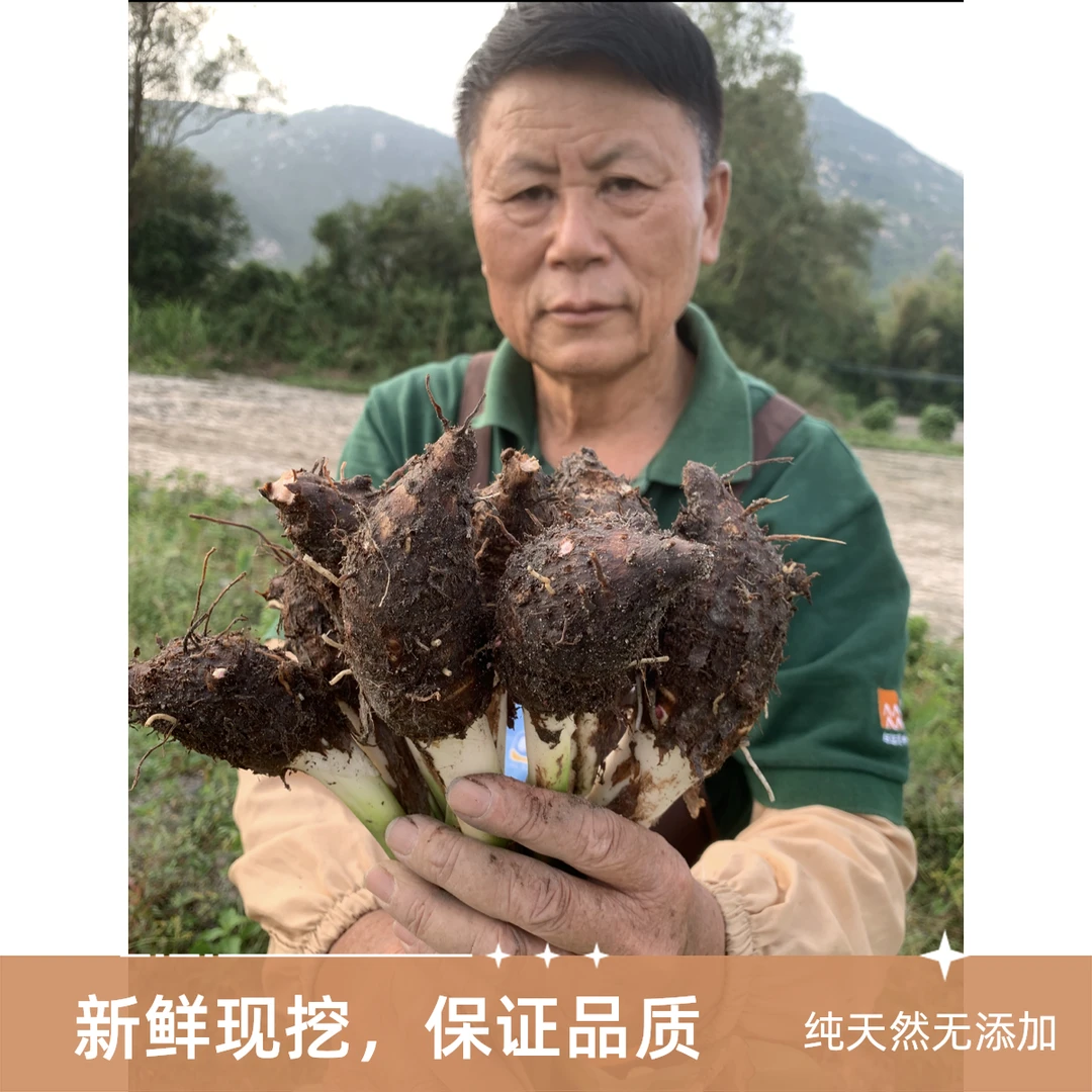 2.5KG广东台山百年传承本土槟榔香芋不使用化肥除草剂小香芋