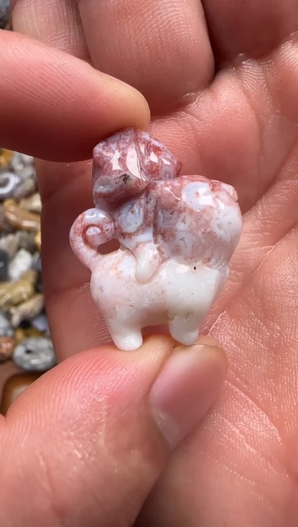 【闪购商品】硅化珊瑚（珊瑚玉）颈饰未镶嵌217