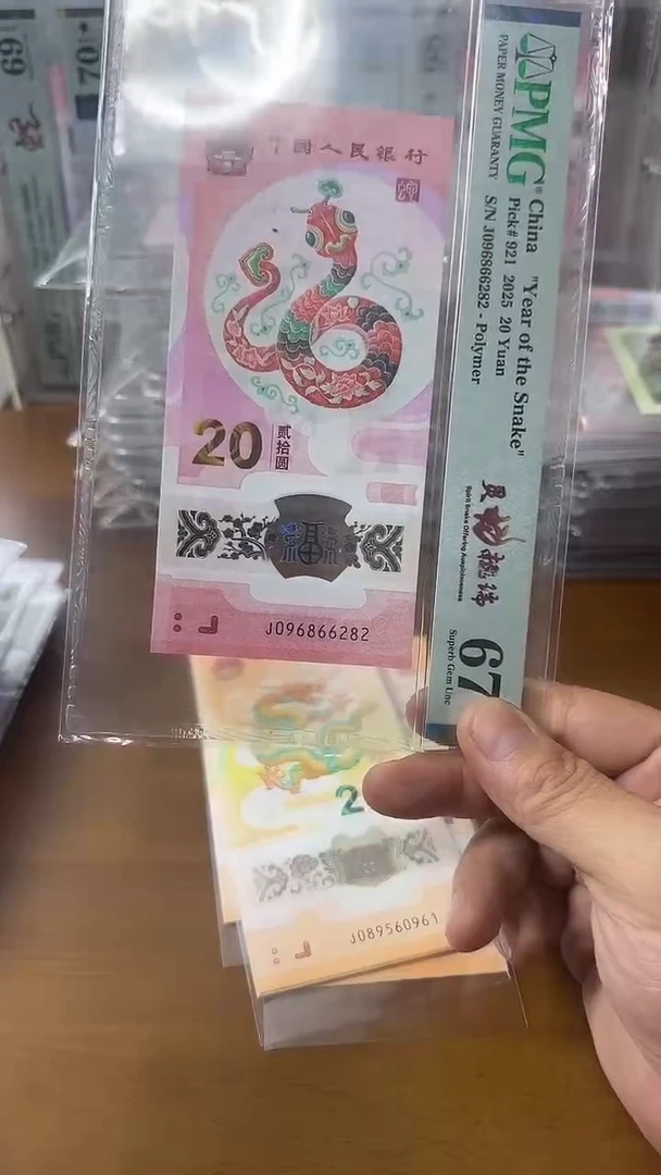 塑料096866282蛇钞67分