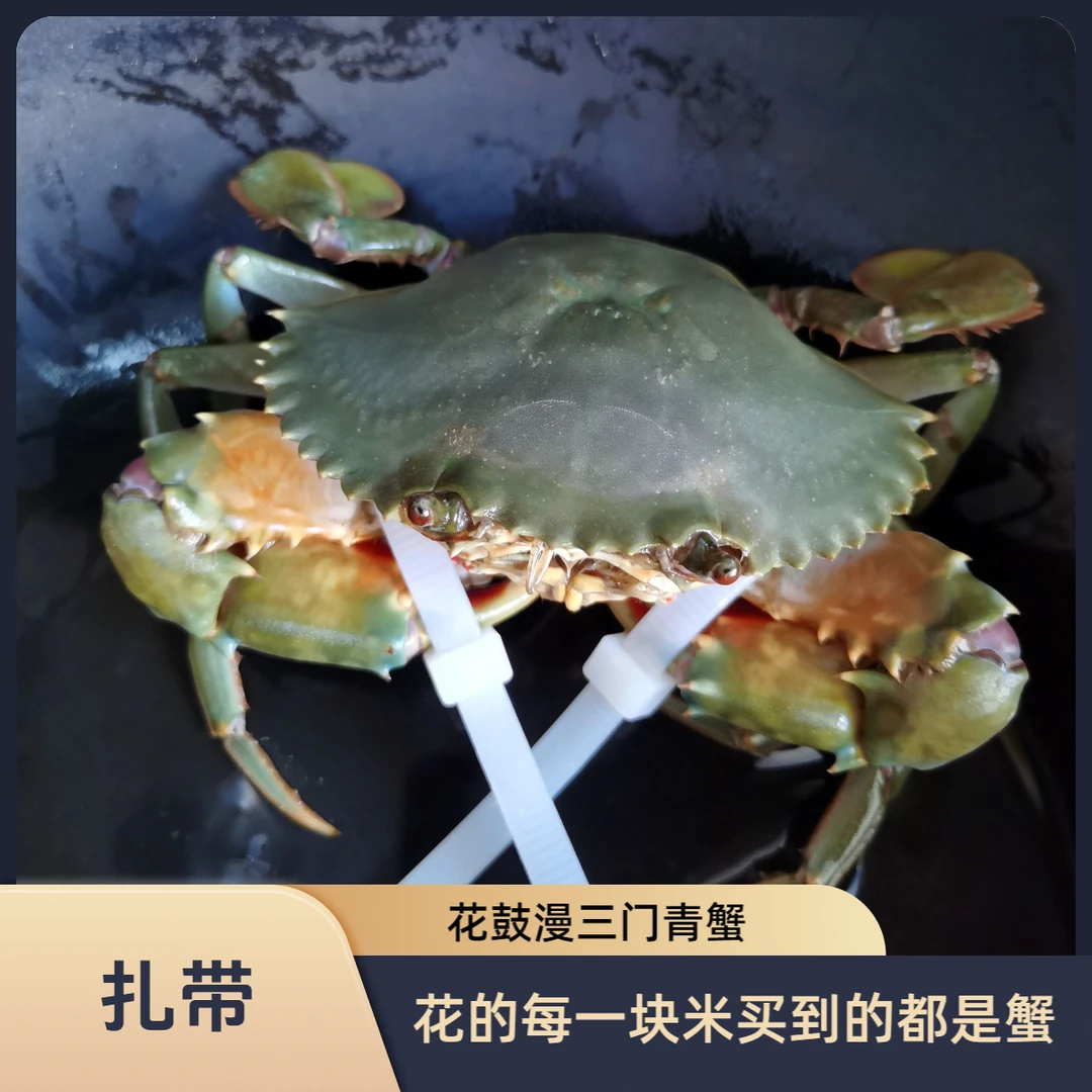 三门青蟹花鼓漫青蟹鲜甜新蟹母蟹公蟹青壳大钳3只家庭装包活顺丰