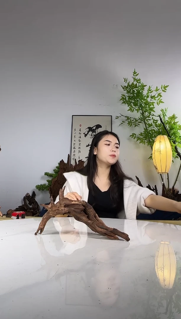 弯***箭拍沉木定向链接编号28