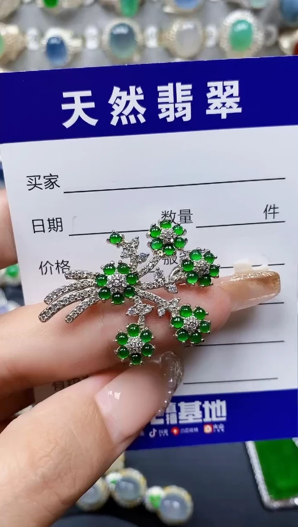 翡翠银S925镶嵌颈饰153