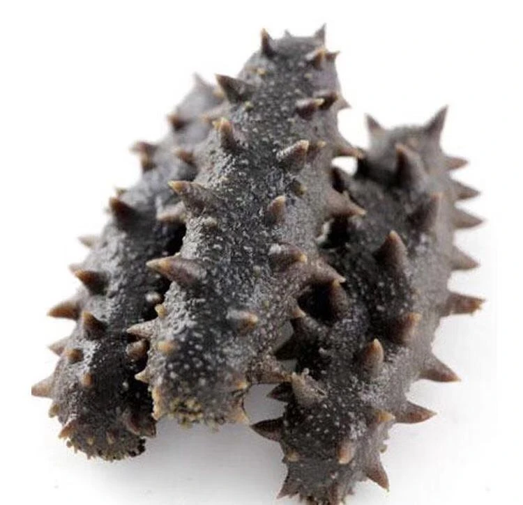 拉缸盐湿海参半干海参福利13-60头