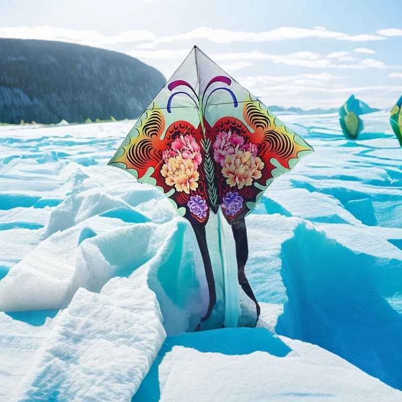 2025潍坊儿童卡通牡丹蝶风筝