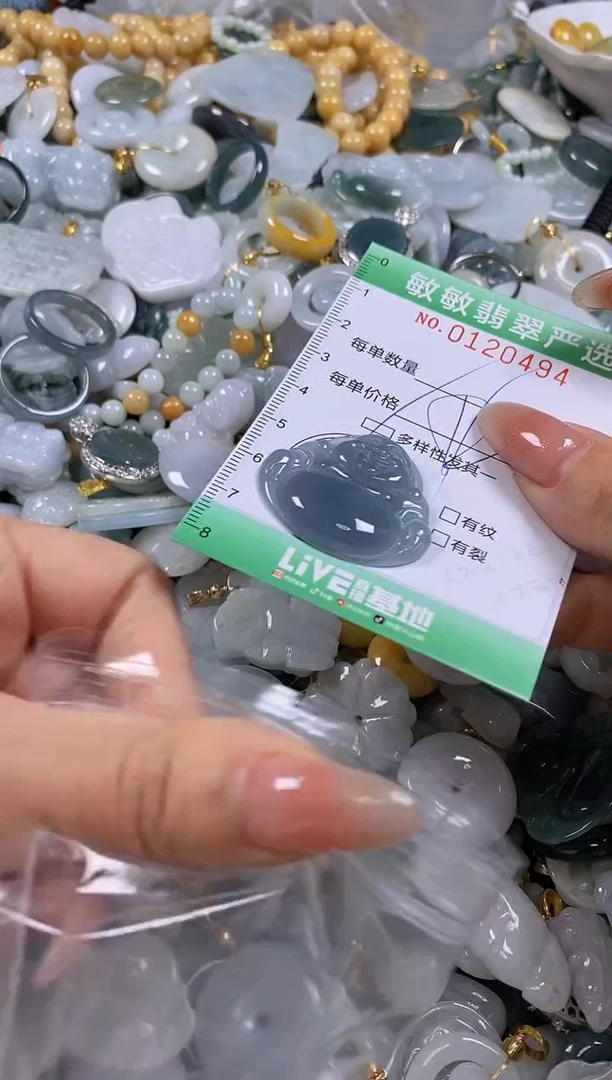 【闪购商品】翡翠颈饰未镶嵌闪购0120494多样性发其一