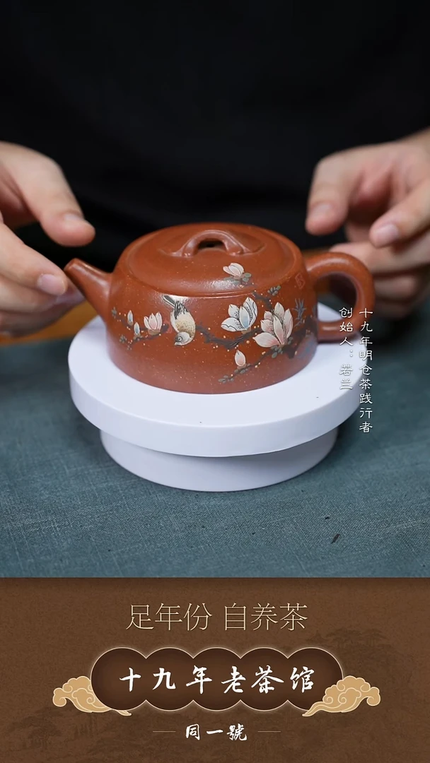 茶壶紫砂宜兴原矿紫砂壶一把
