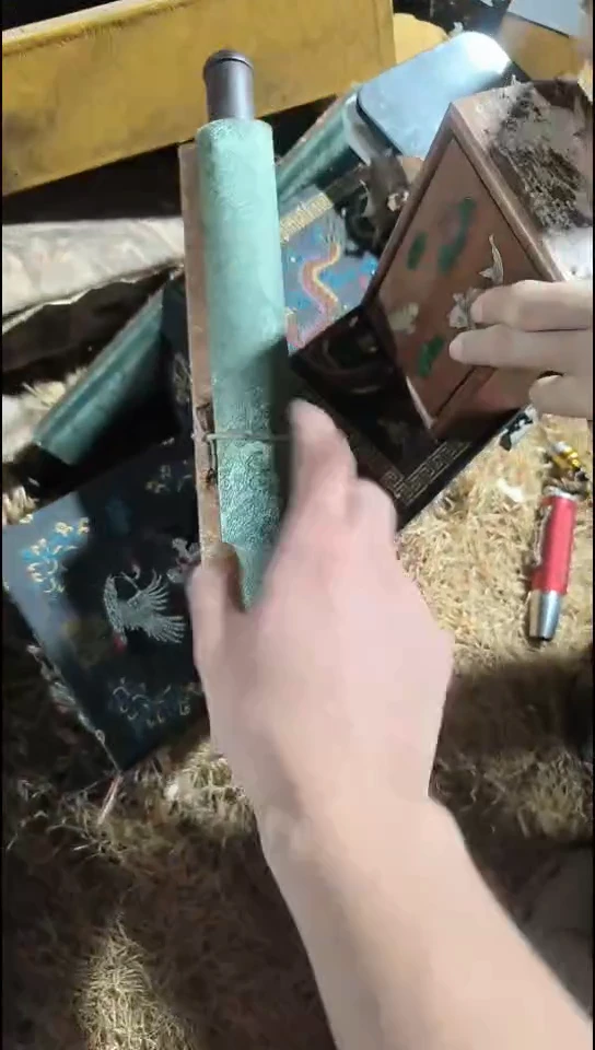 香榧木（1个绿色普通话0