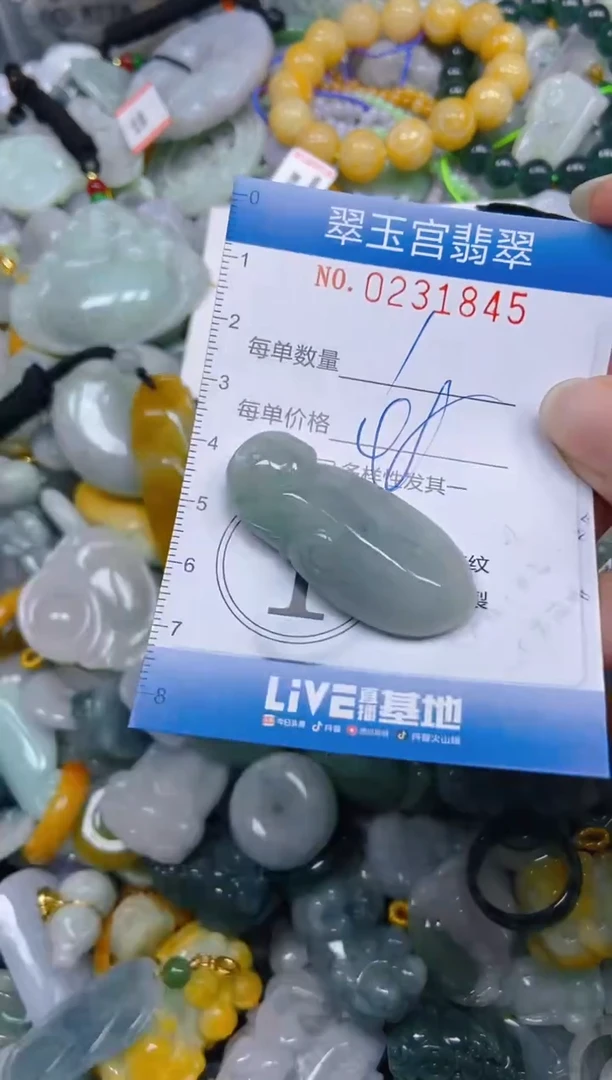 颈饰未镶嵌翡翠闪购C0231845