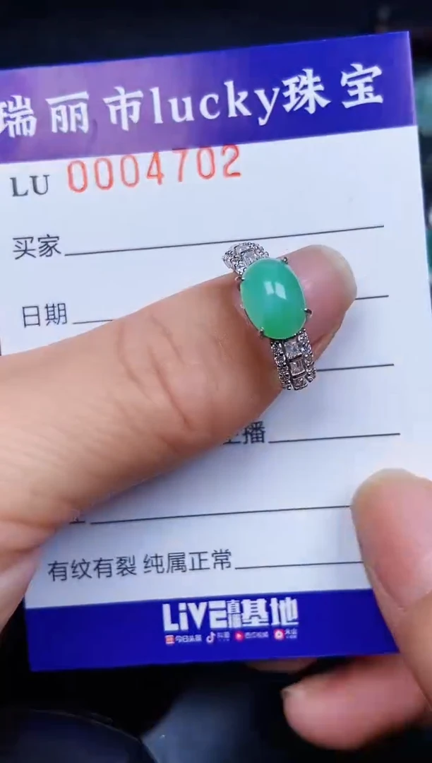 翡翠银S925镶嵌颈饰4702