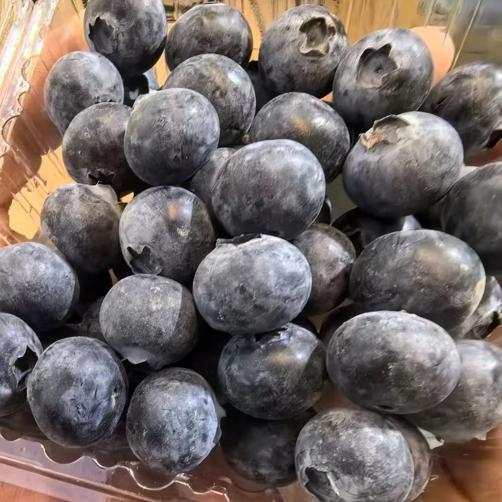 【四盒】[N]云南蓝莓 盒/125g/共计1斤 仅限太原晋中吕梁忻州可拍