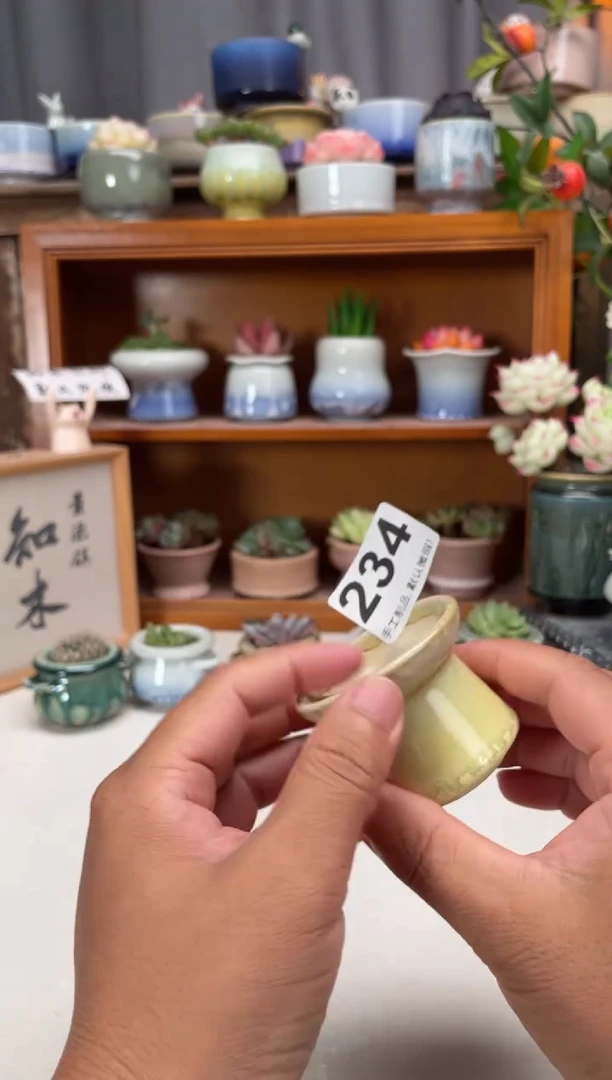 瓷片234知木小芳花盆
