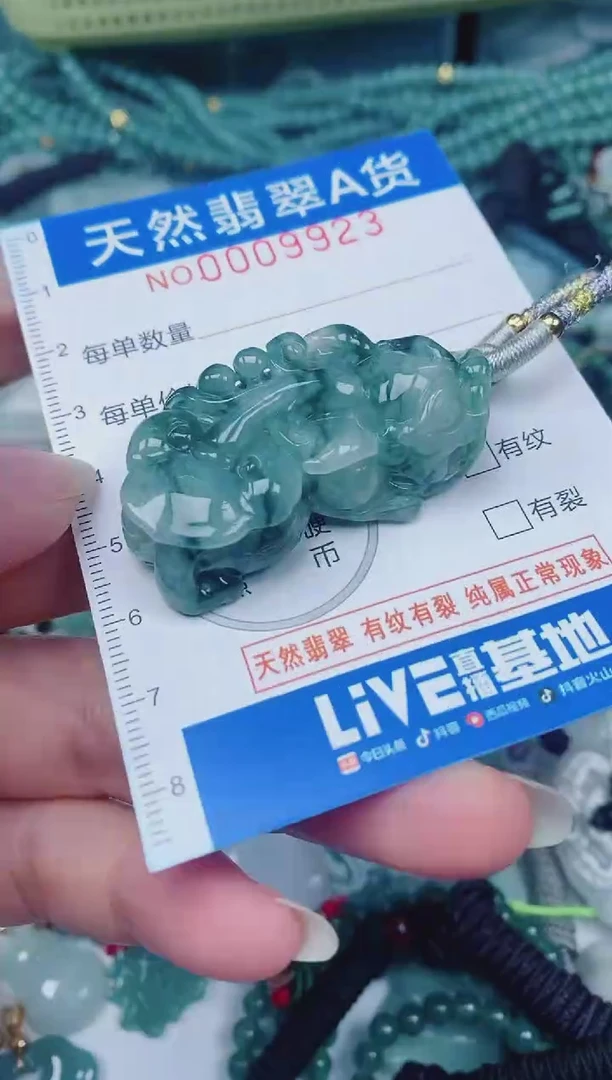 颈饰未镶嵌翡翠00009923