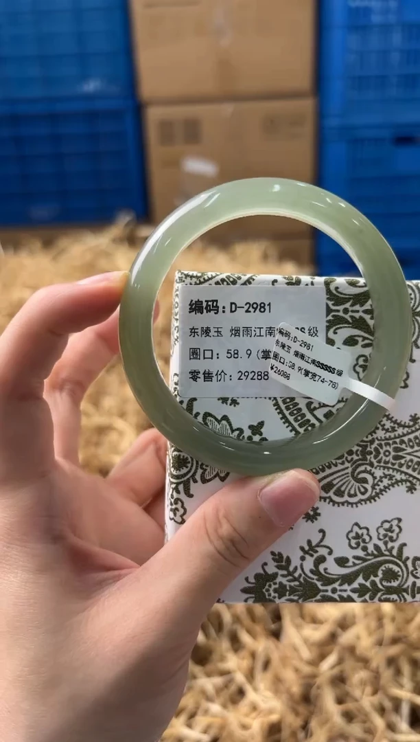 未镶嵌手镯石英质玉D-2981