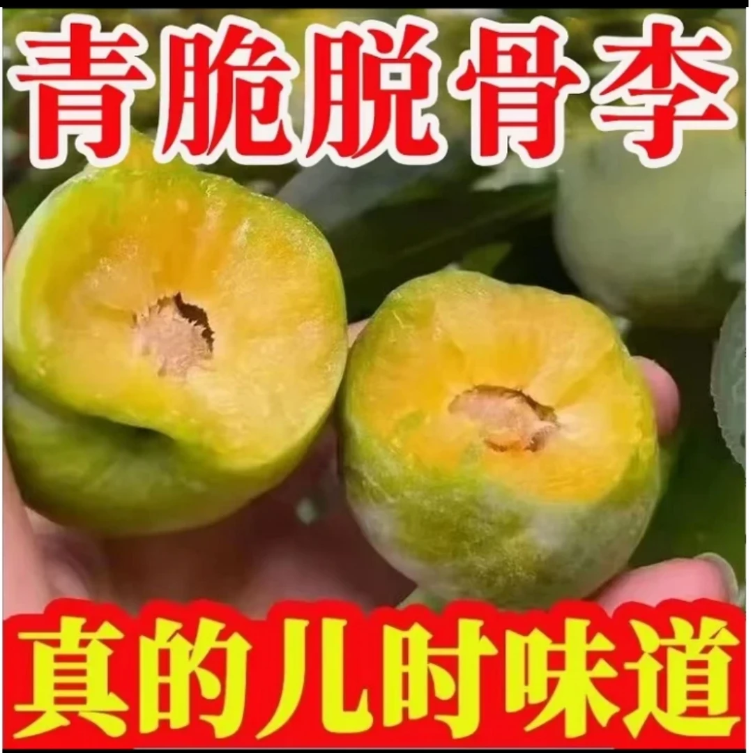 正宗四川青脆脱骨李新鲜应季水果脆甜多汁爽口解腻