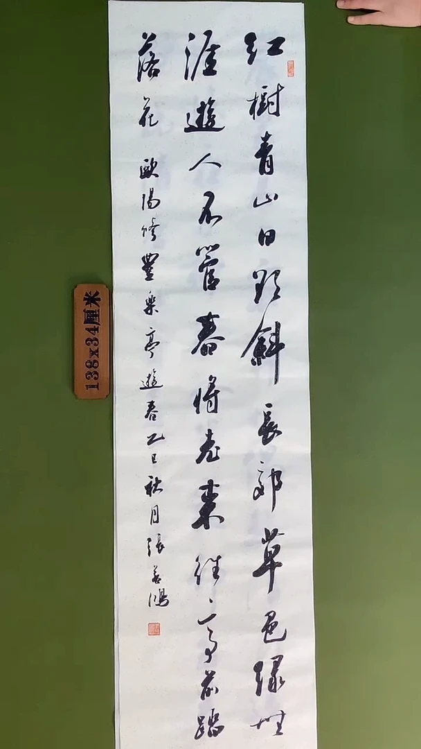 书法书法 张若鸿 尺寸138cm*34cm