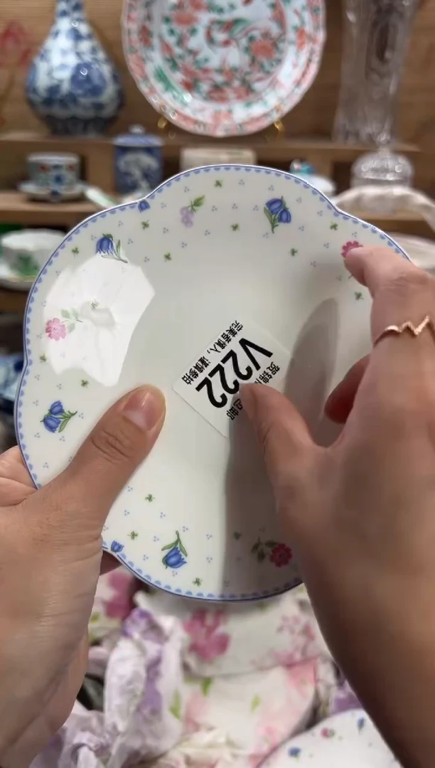 瓷片粒*       V222