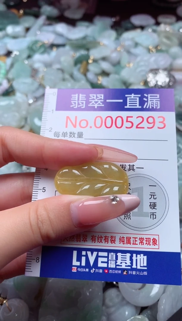 翡翠未镶嵌吊坠(不含链)5293