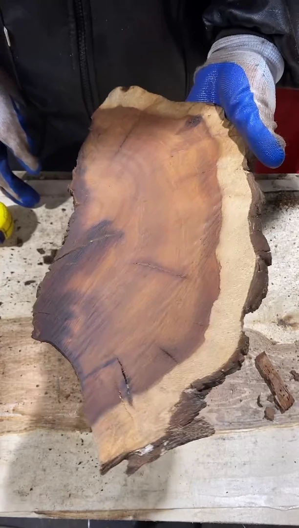 枣木薄片断了正常【66】号原木段，尺寸随型