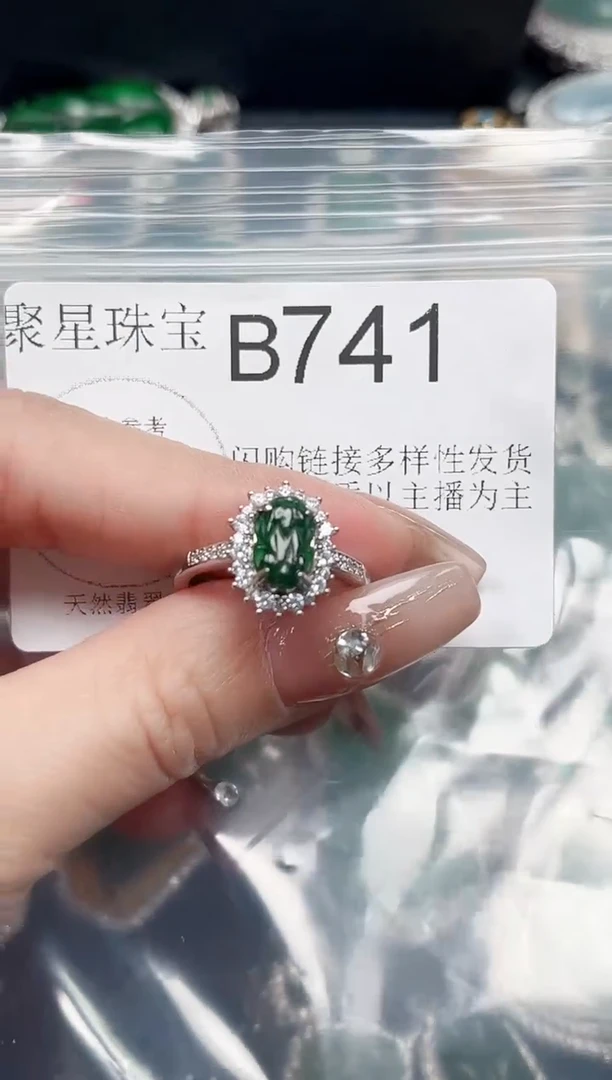 【闪购商品】翡翠颈饰未镶嵌赠皮绳741