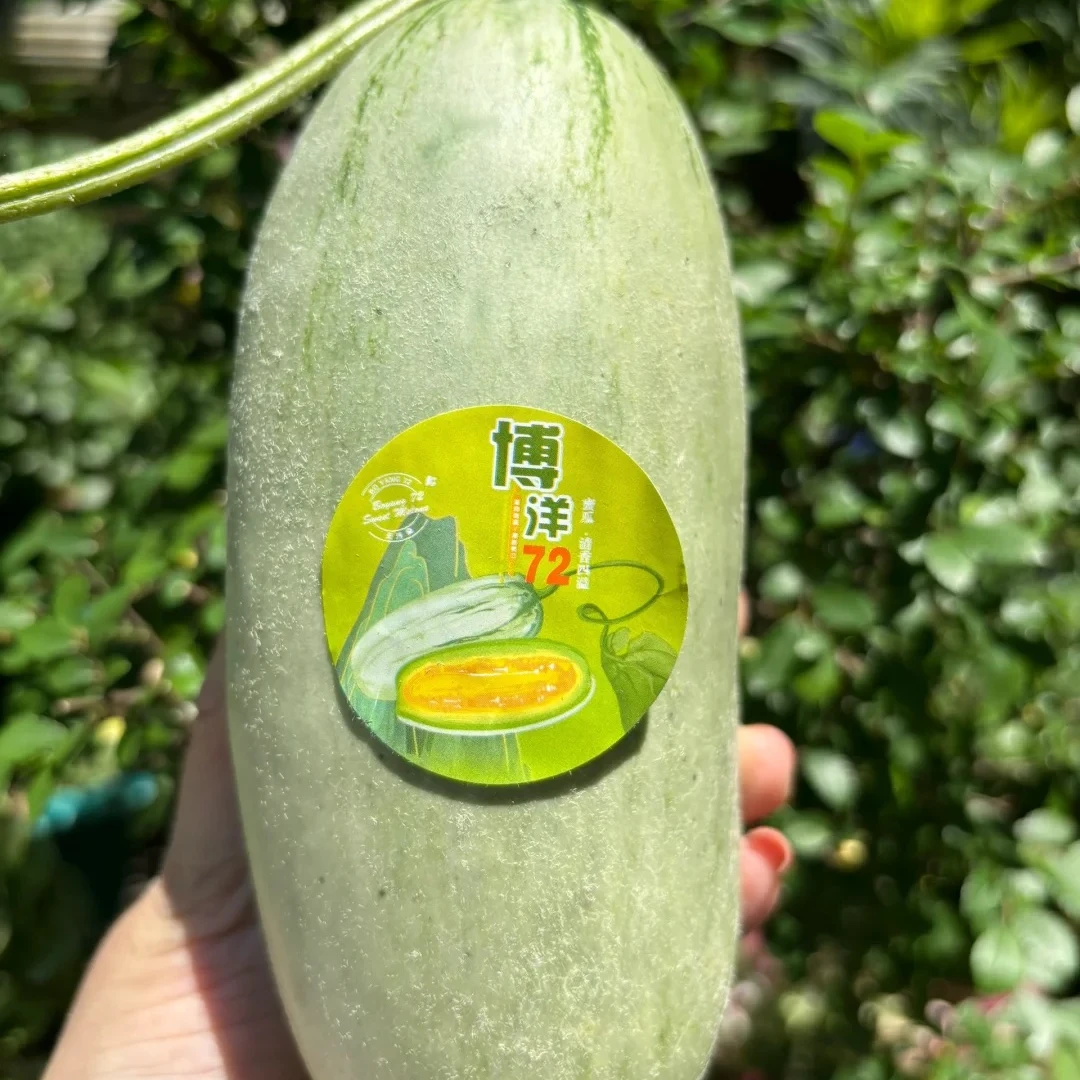 【脆甜博洋瓜】一盒一个约550g