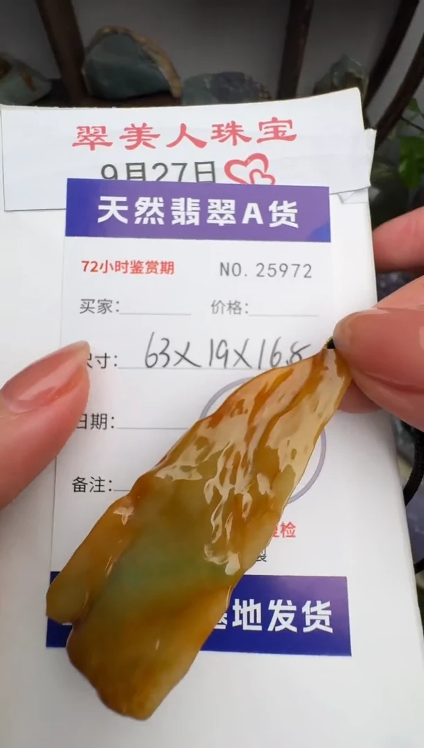 颈饰未镶嵌翡翠原石25972