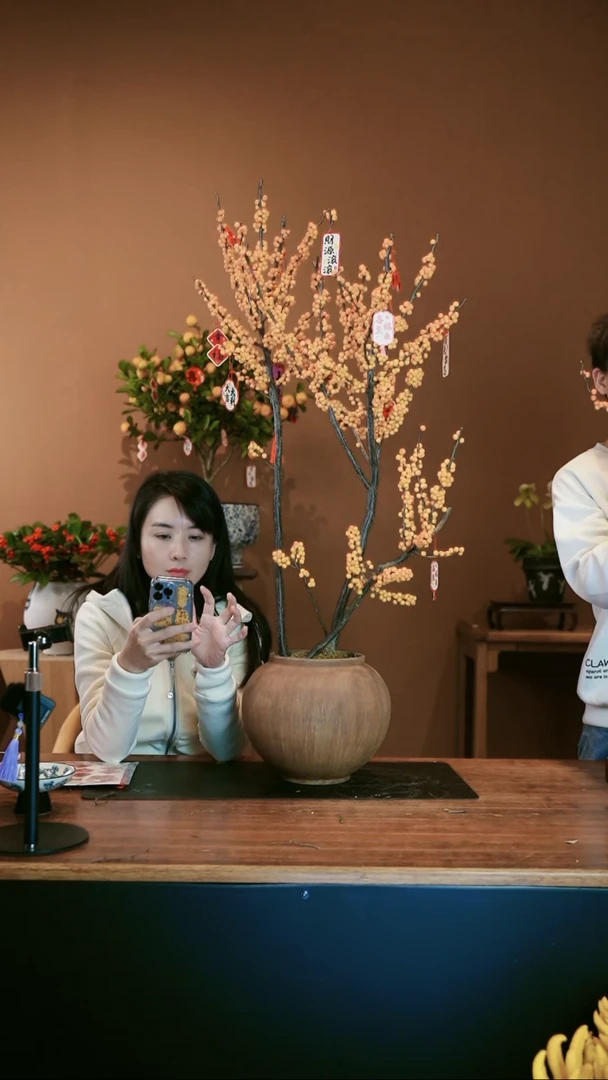 【闪购商品】盆景冬青