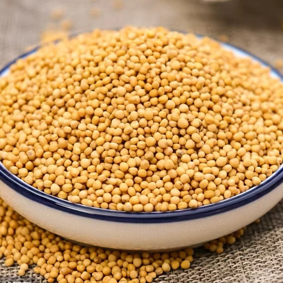 白芥子中药材白介子芥菜籽辣菜籽生白芥子非野生粉搭紫苏籽莱菔子