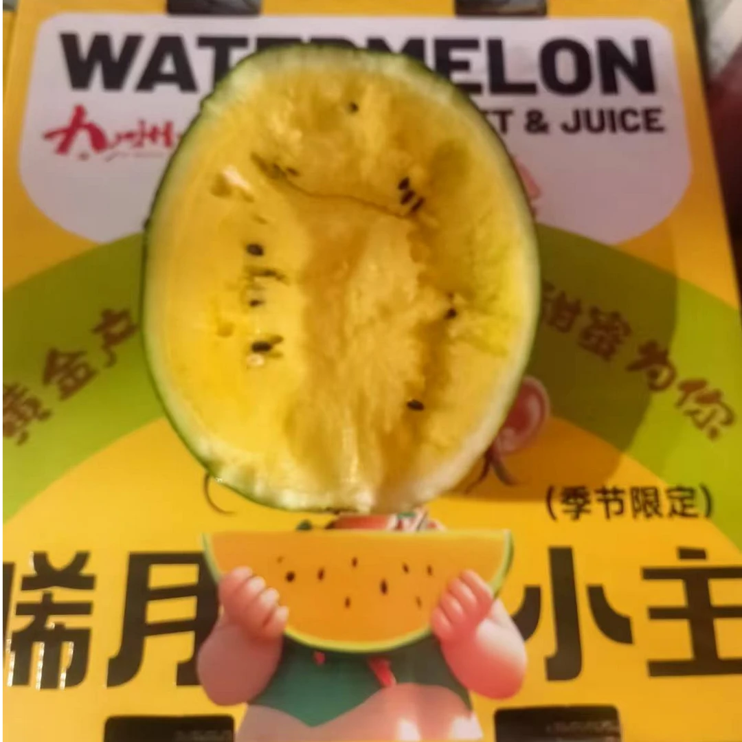 晞月小主西瓜（一颗）