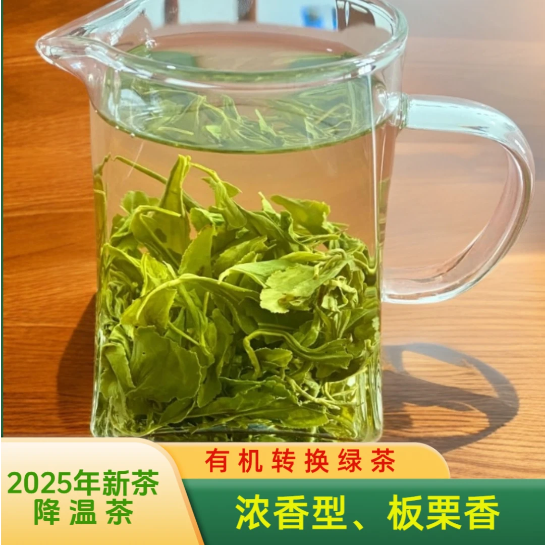 芽悦青    2025年日照绿茶（降温茶 有机转换 带绿茶防伪溯源标识）