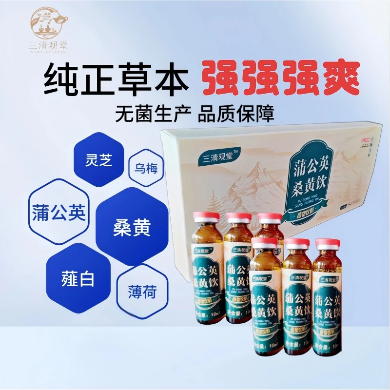 男生正品蒲公英桑黄饮