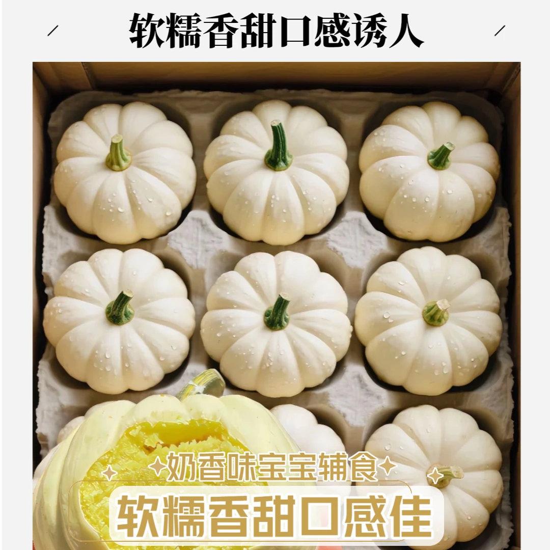 奶油贝贝南瓜板栗味贝贝南瓜软糯香甜南瓜宝宝辅食贝贝瓜板栗瓜