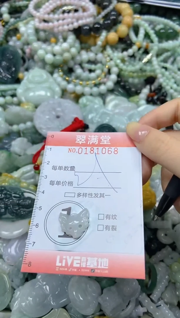 颈饰未镶嵌翡翠闪购0181068