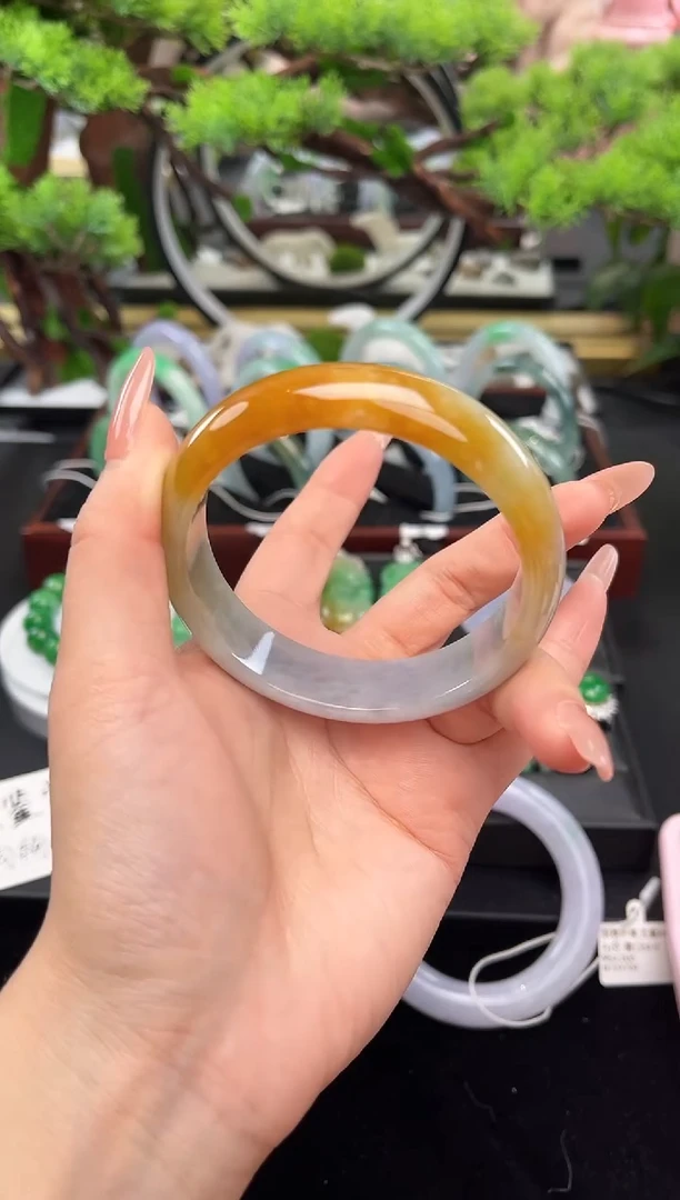 未镶嵌手镯翡翠手镯