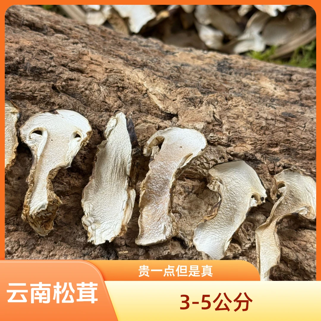 云南香格里拉松茸干片3-5 (新鲜5公分左右)