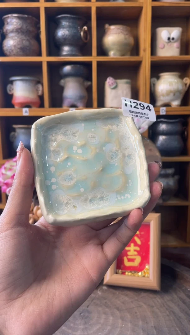 294长8【多肉花盆多肉盆】