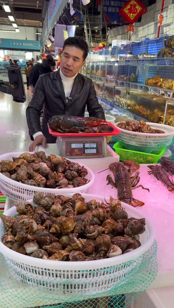 中国大陆断氧波龙1只，有点腿，3.8斤