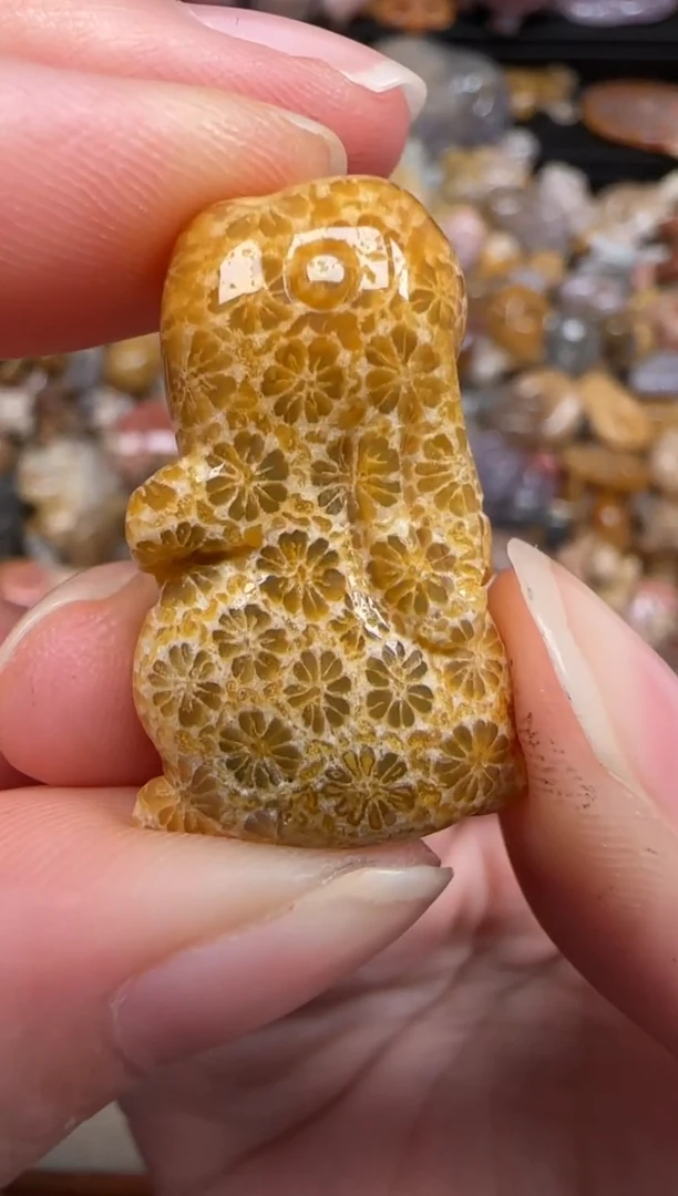 硅化珊瑚（珊瑚玉）未镶嵌颈饰351